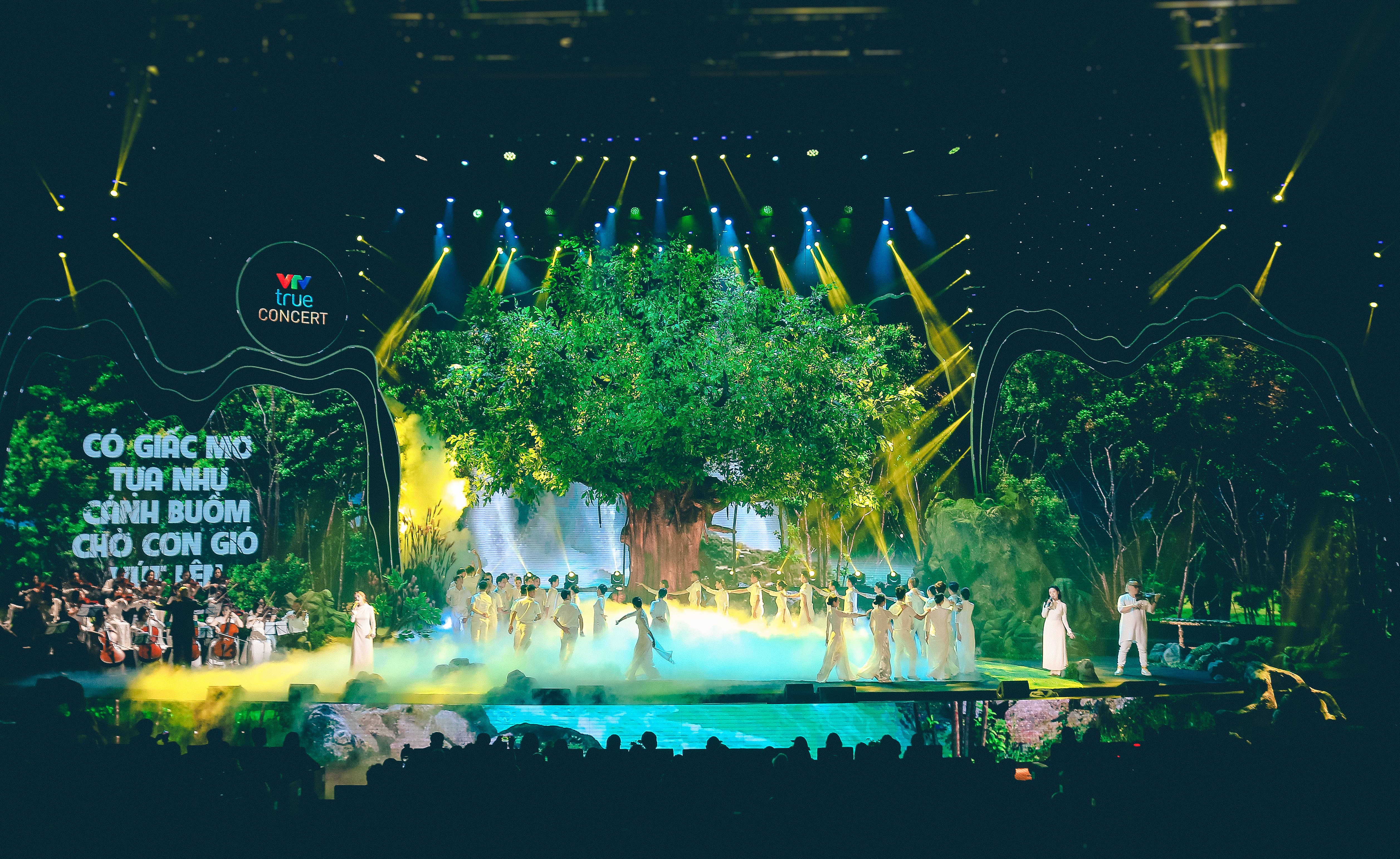 Kể câu chuyện bảo vệ thiên nhiên bằng âm nhạc